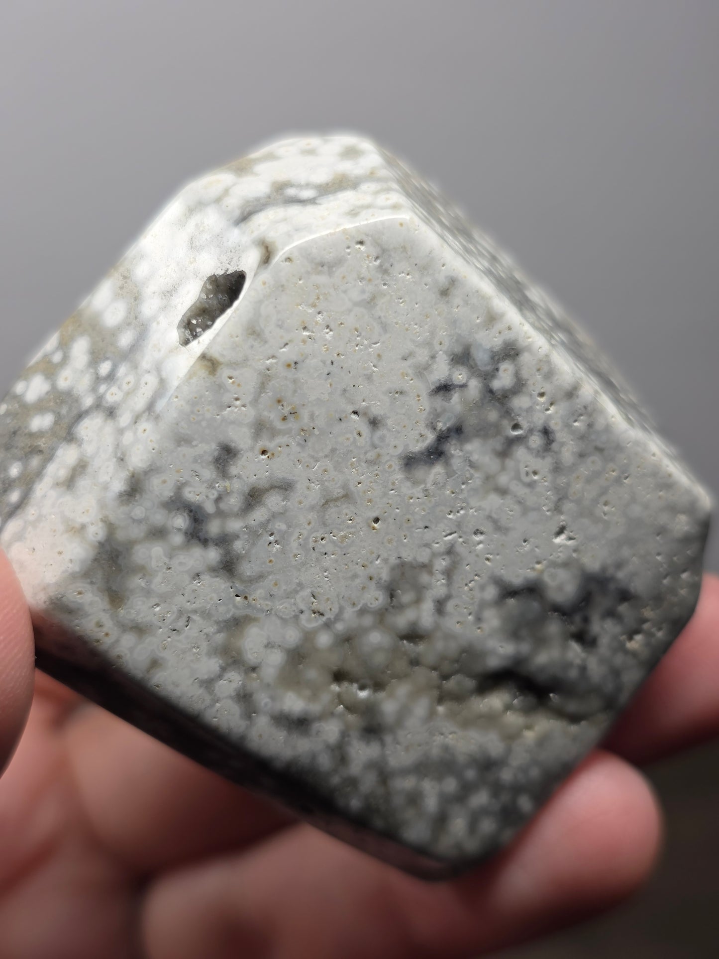 Orbicular Jasper Freeform