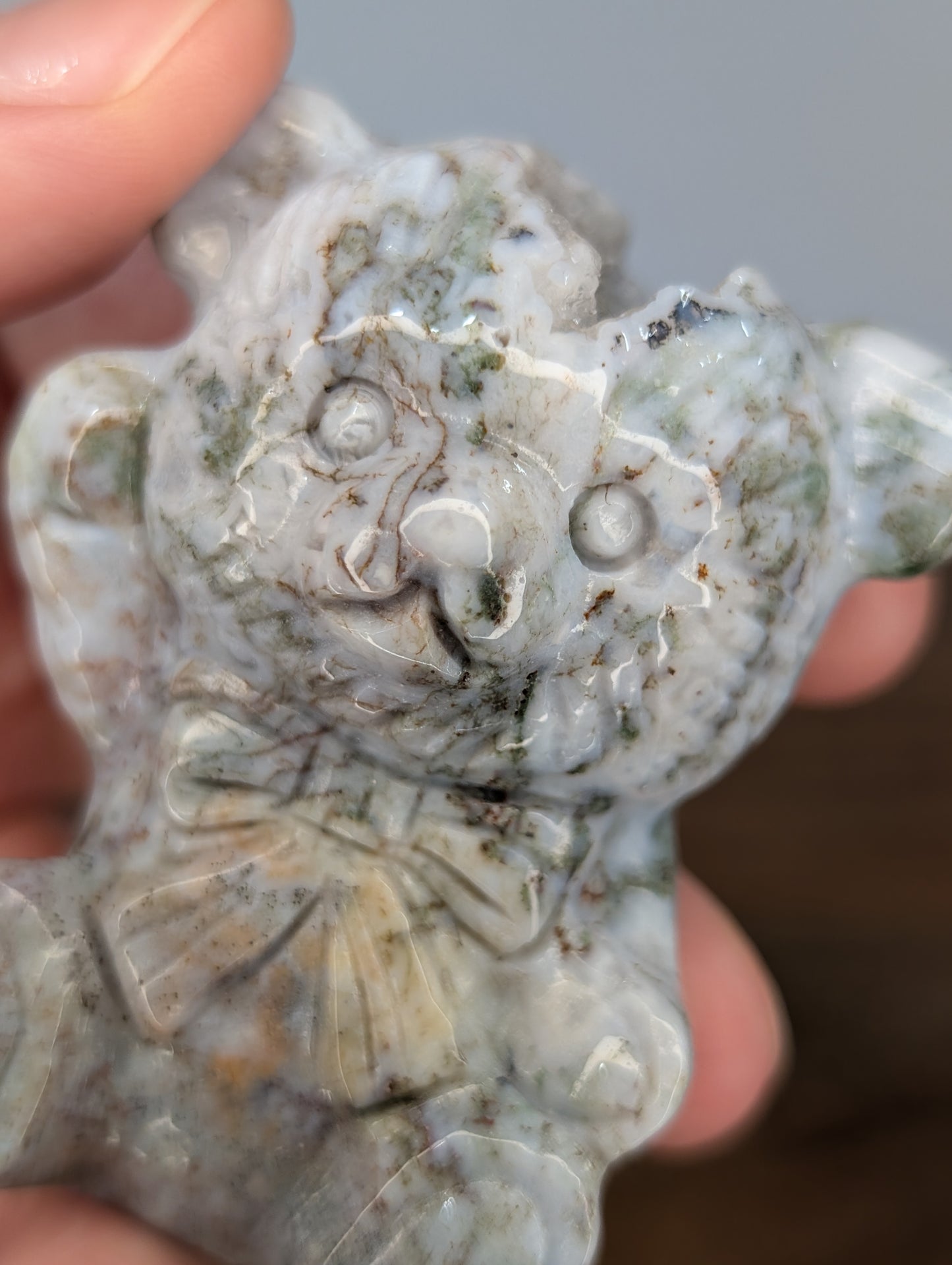 Druzy Sea Jasper Teddy Bear Carving (R18)
