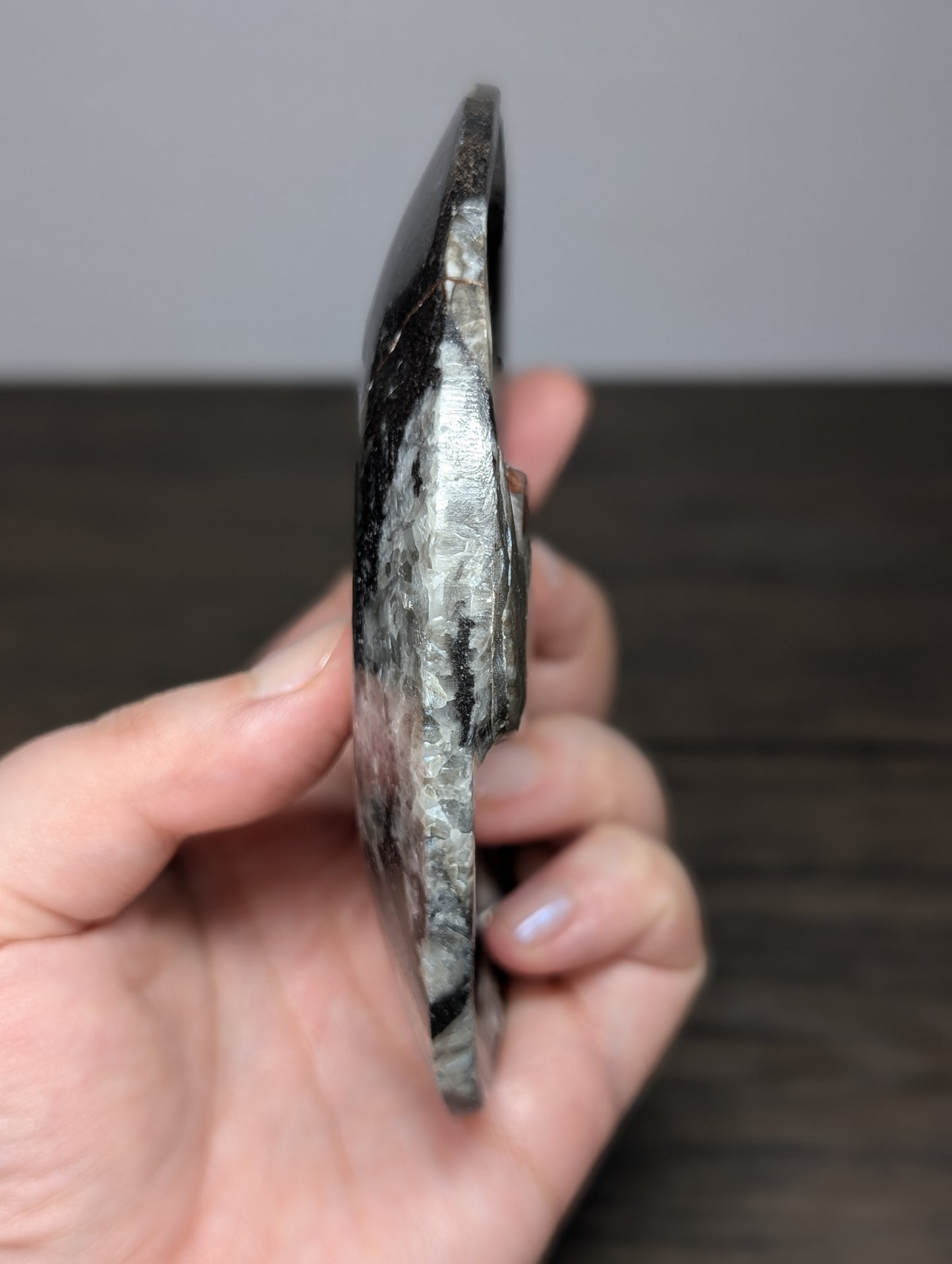 Orthoseras Bowl