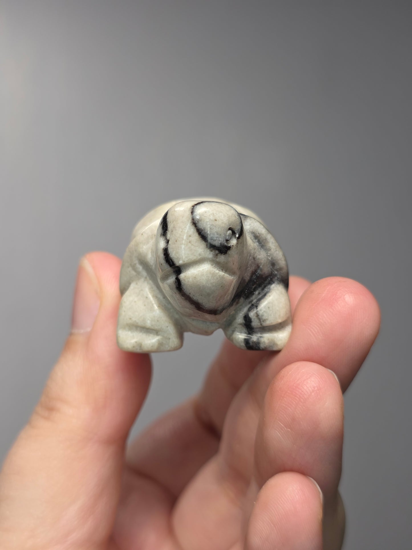 Spiderweb Jasper Turtle Carving