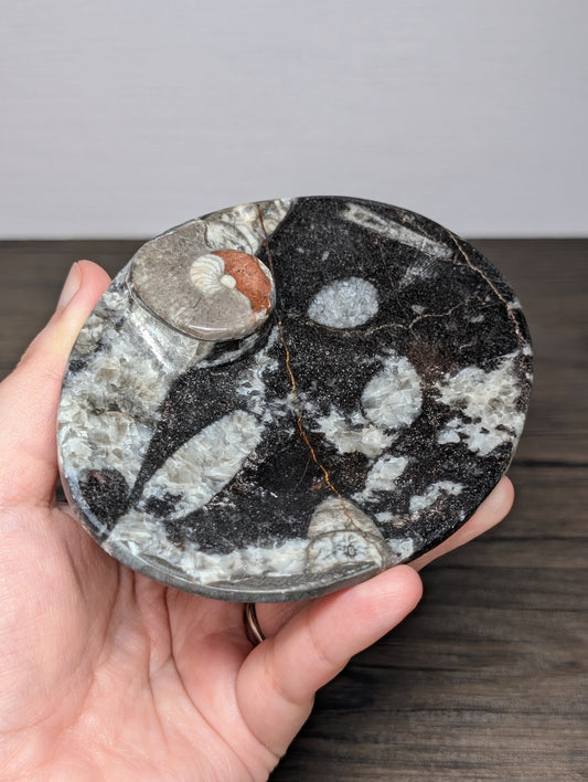 Orthoseras Bowl