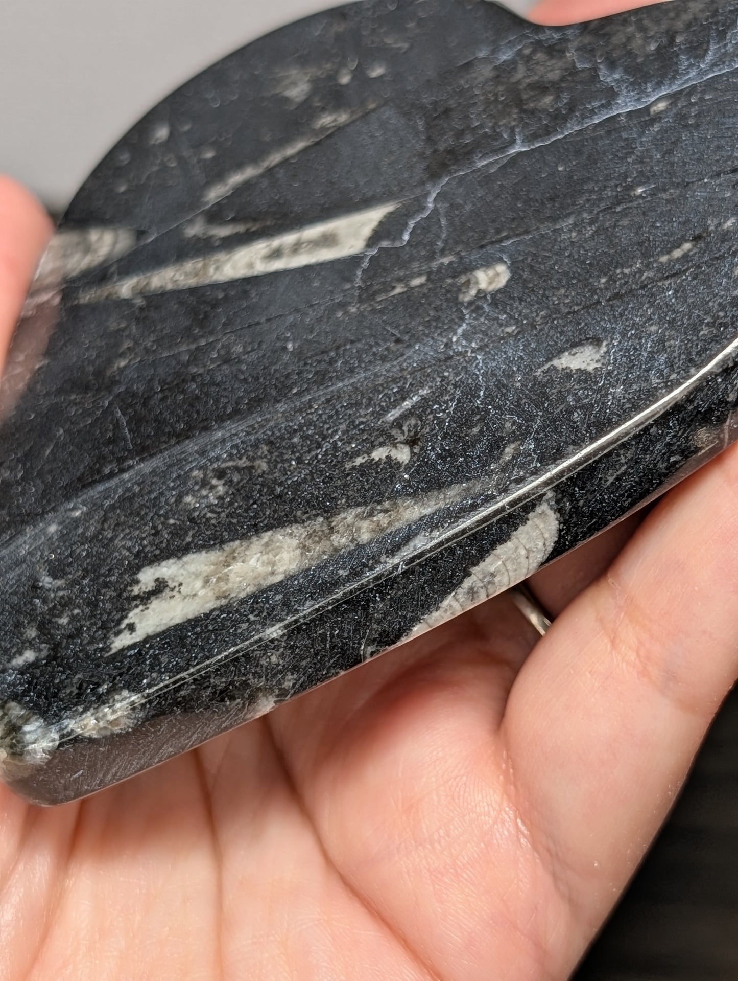 Orthoseras Heart Slab