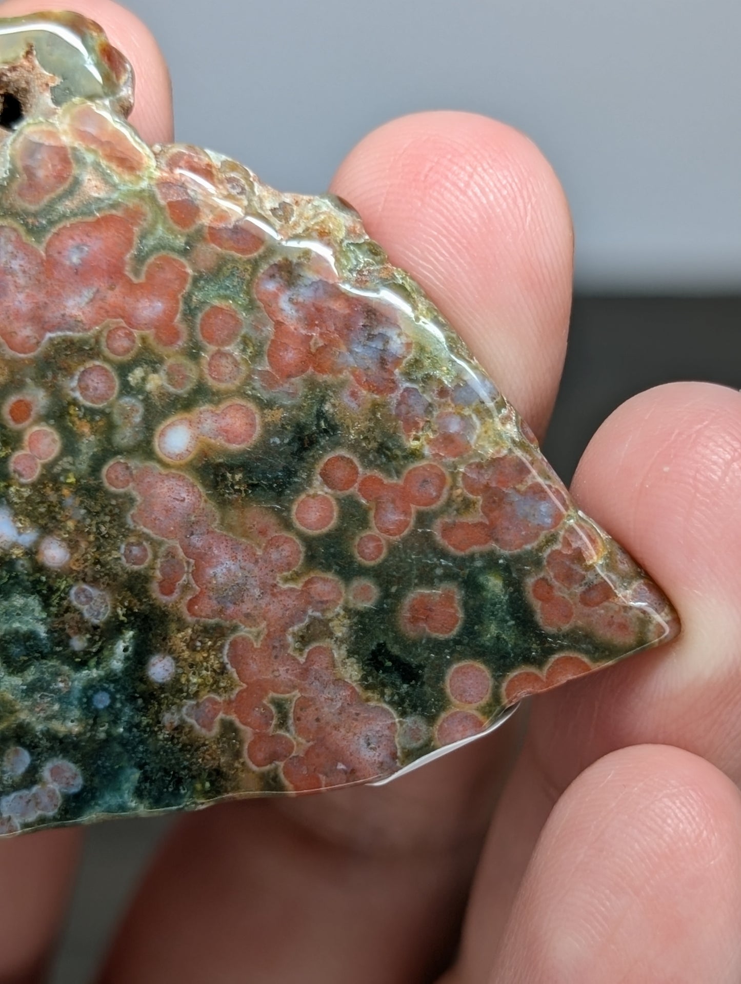 Orbicular Jasper Slab/Freeform