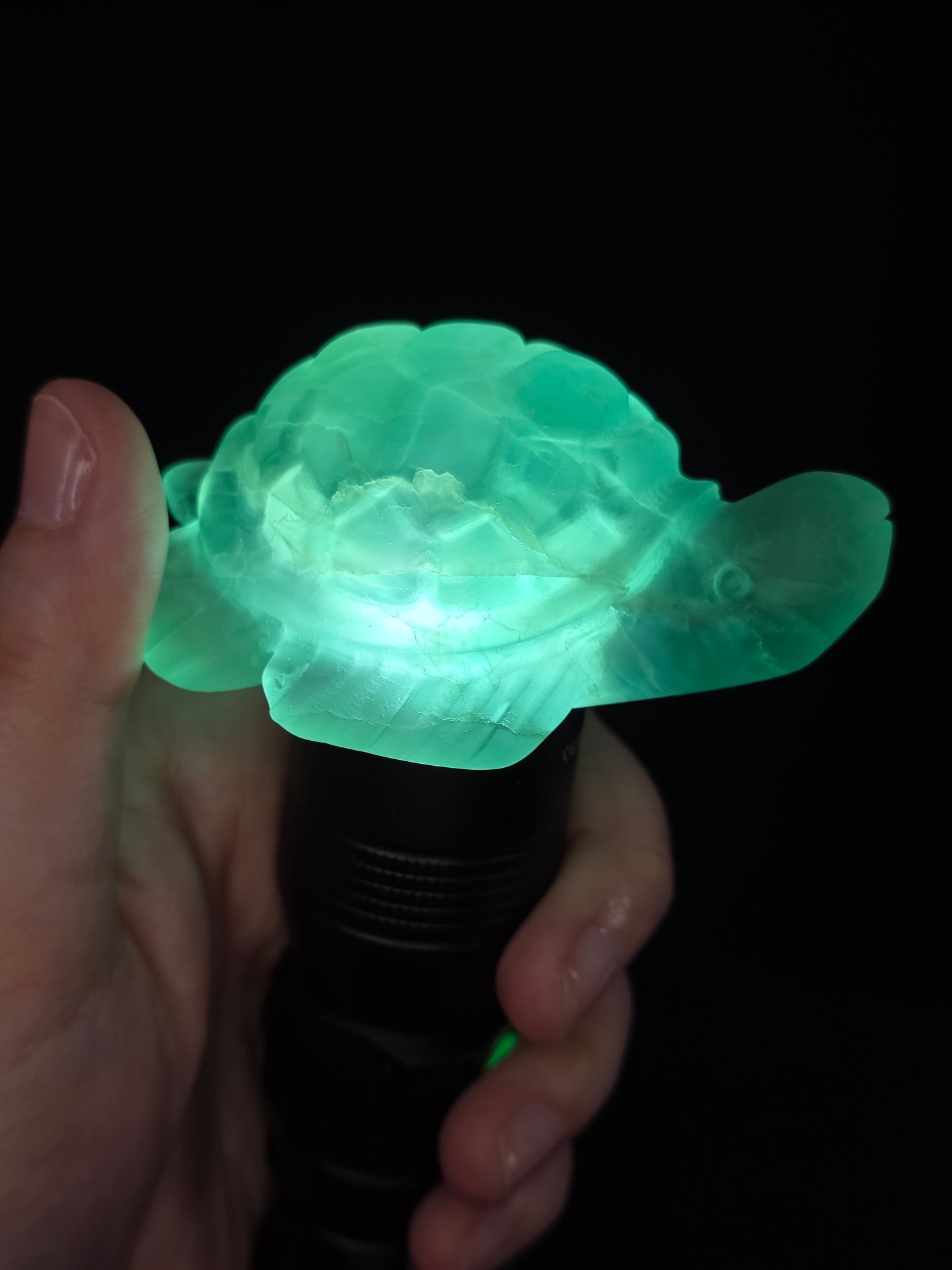 Green Fluorite Turtle Carving