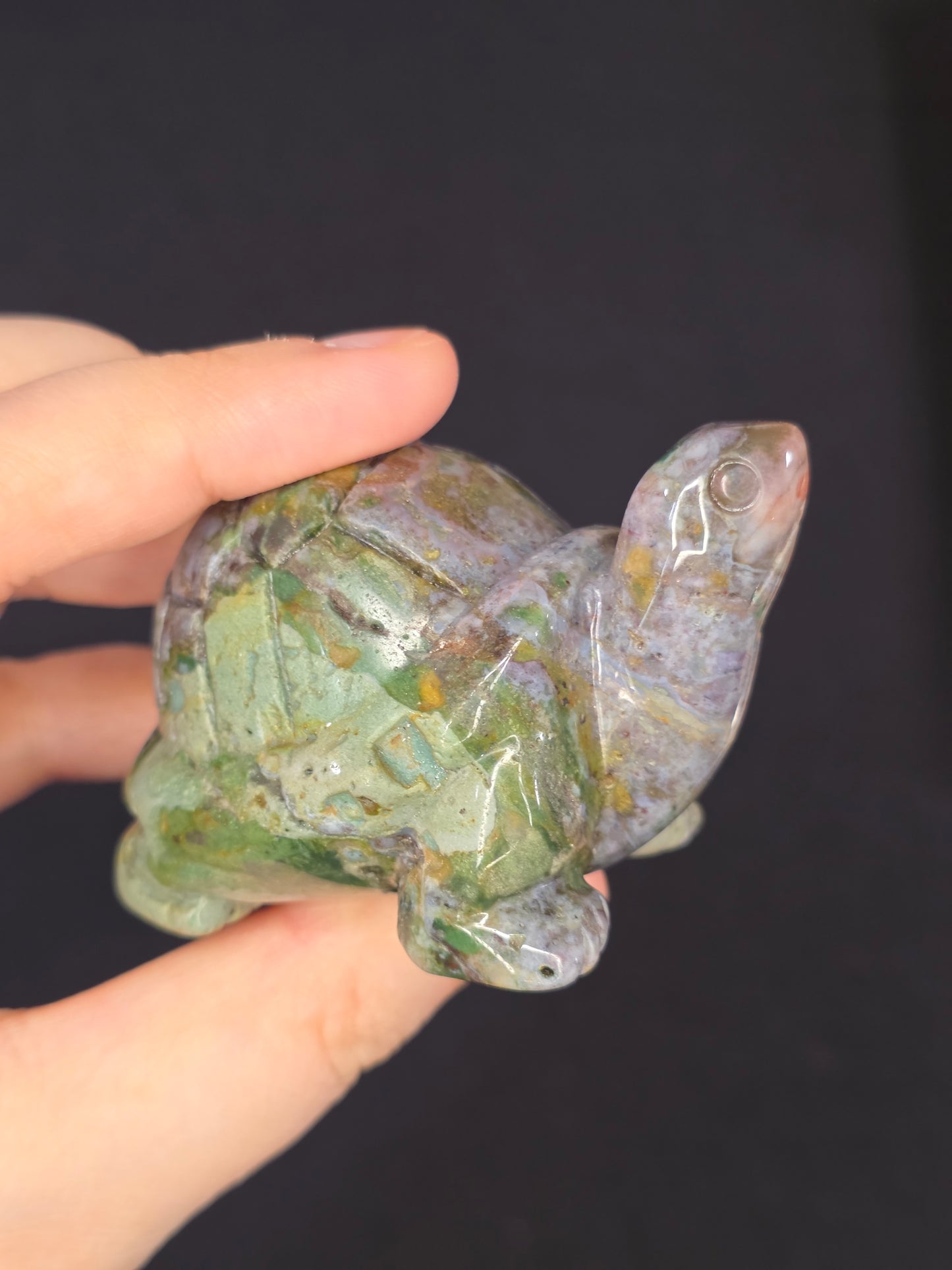 Sea Jasper Turtle Carving