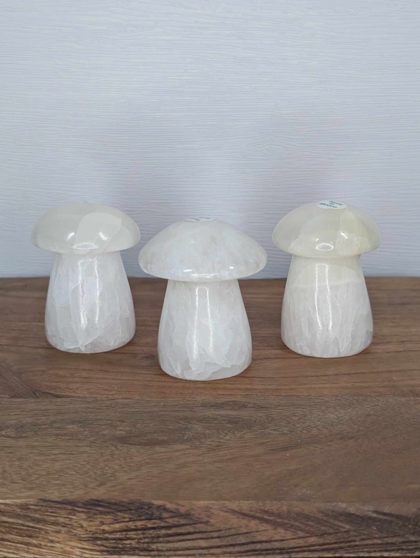 Mexican Onyx/Calcite Mushroom Carving (AJ47)
