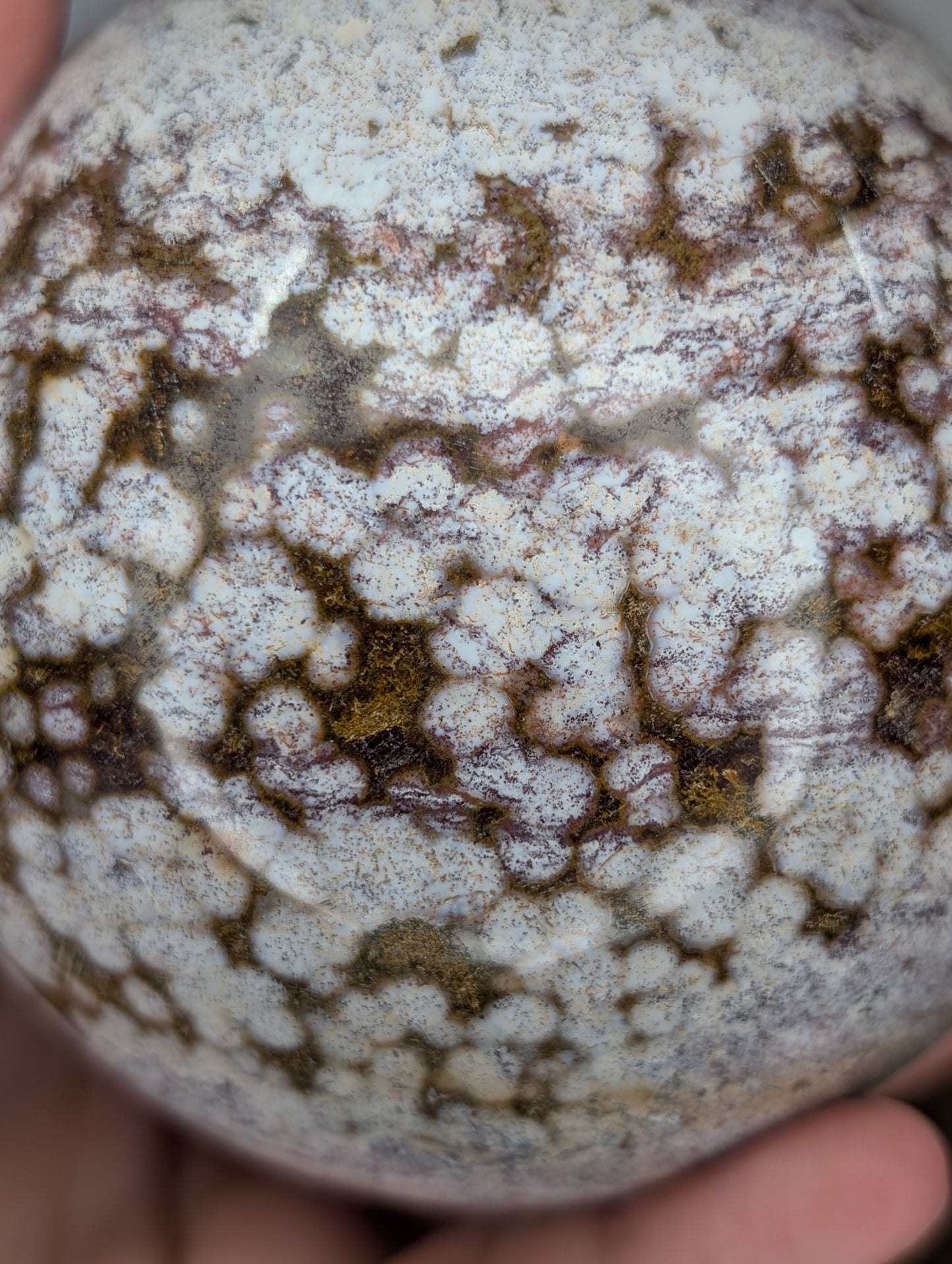 Orbicular Sea Jasper Sphere (BQ21)