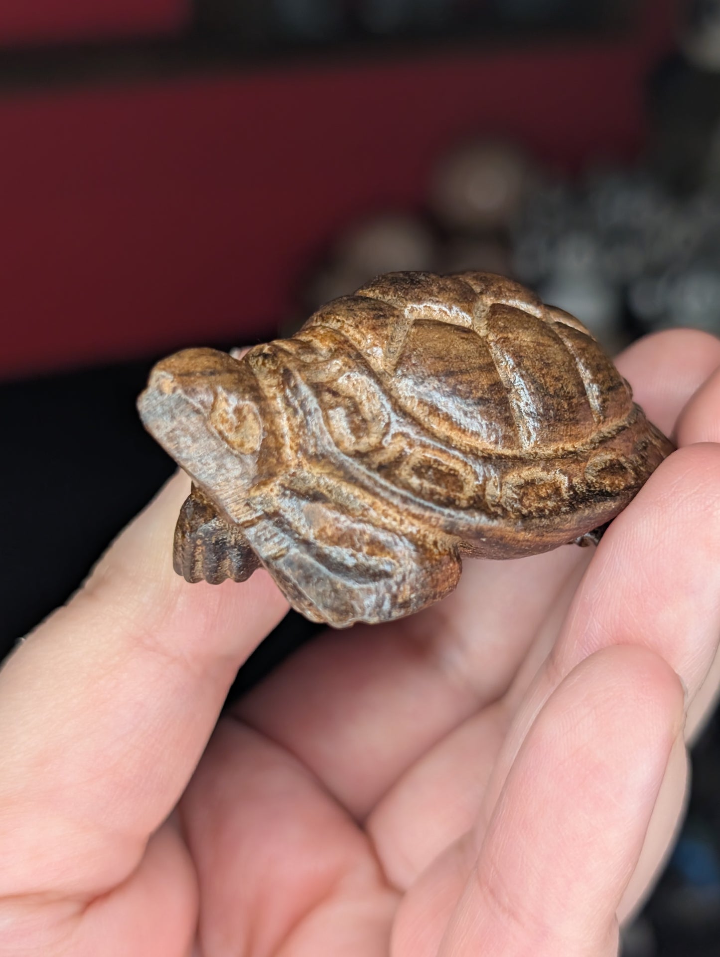 Wooden Turtle Carving