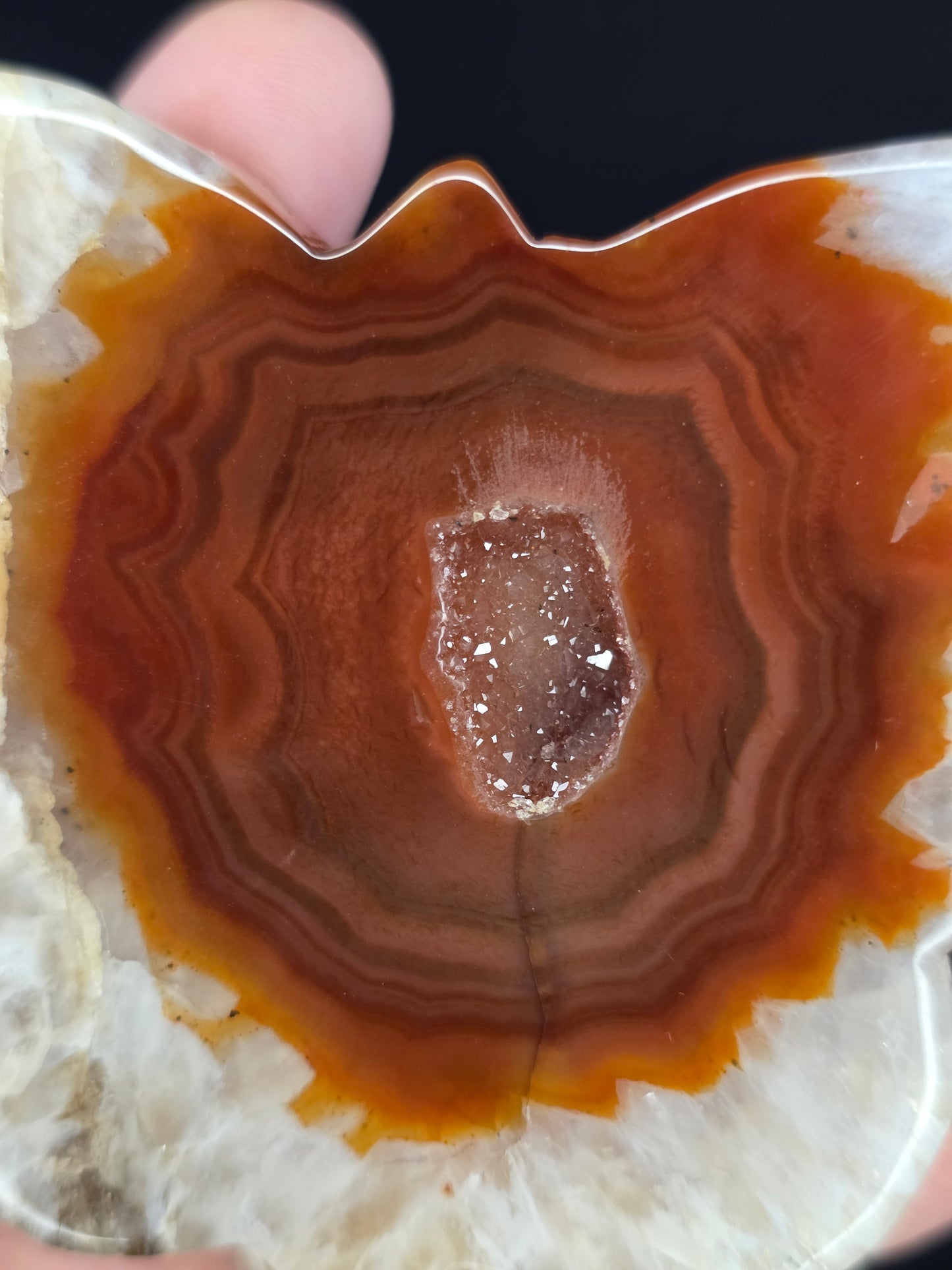 Carnelian Butterfly Carving