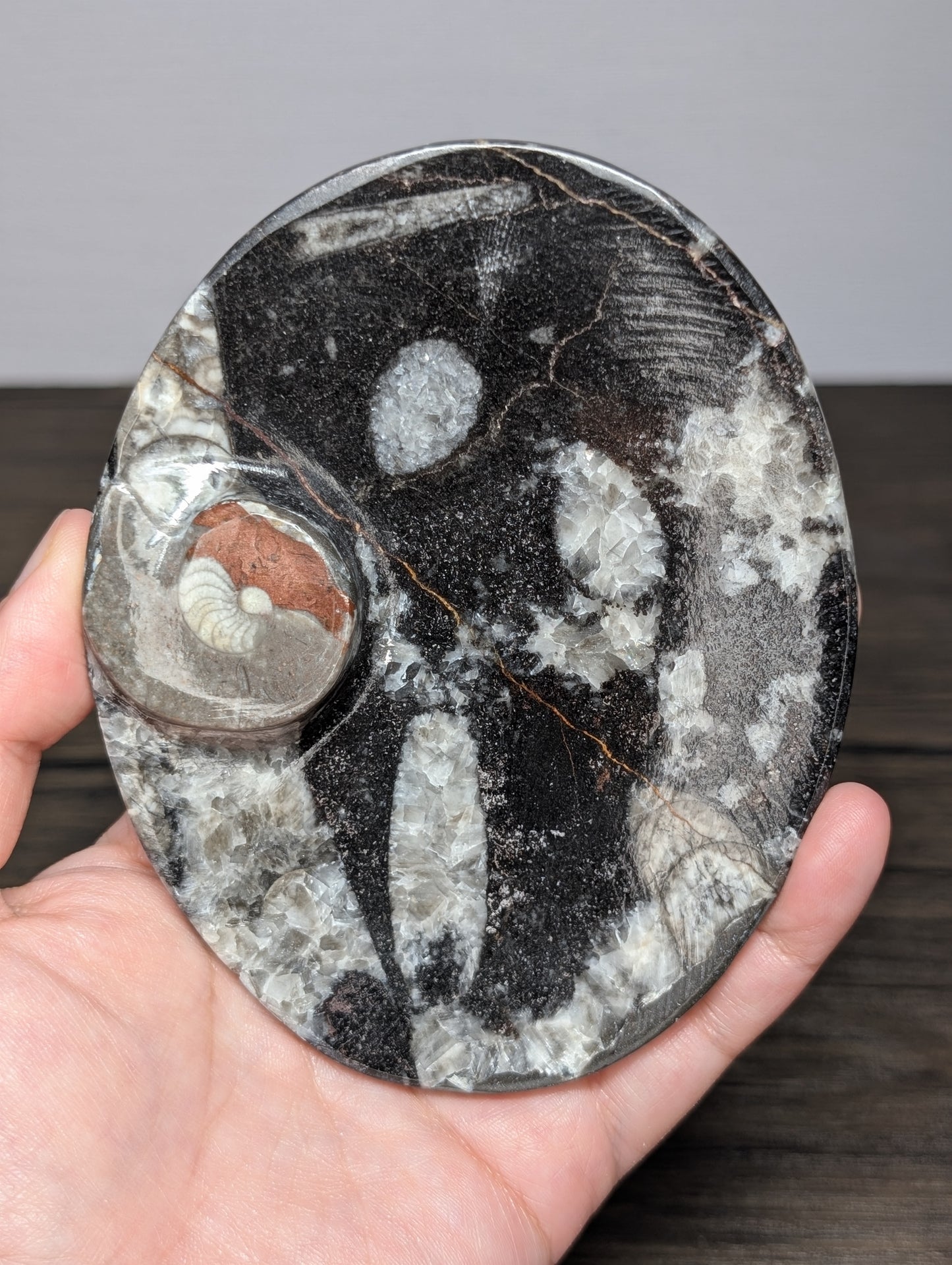Orthoseras Bowl
