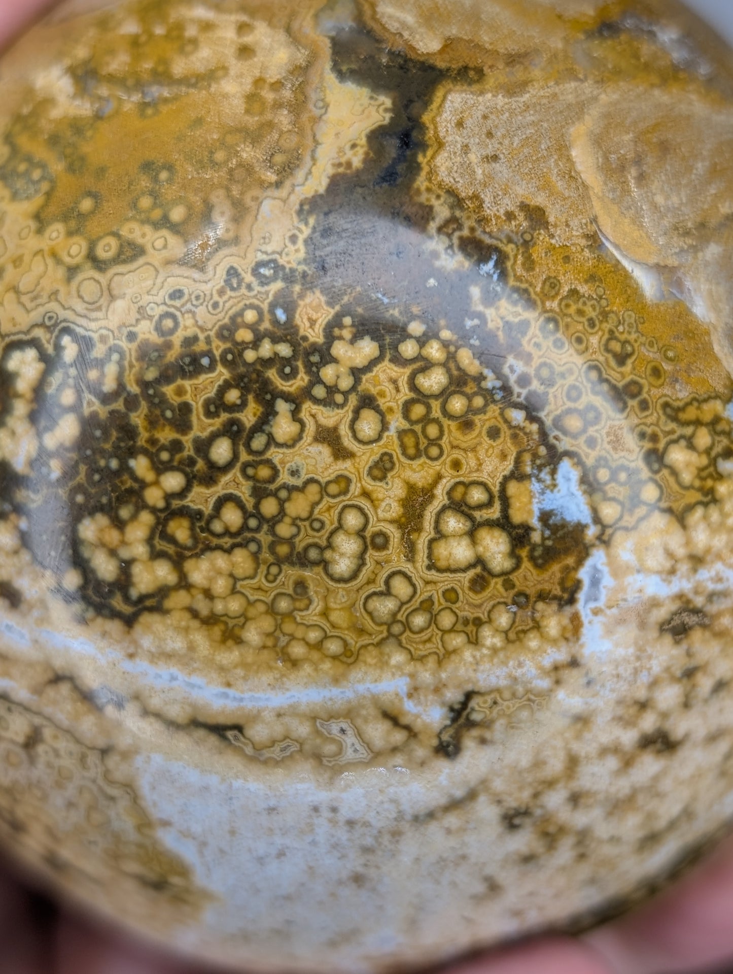 Orbicular Jasper Sphere (G76)