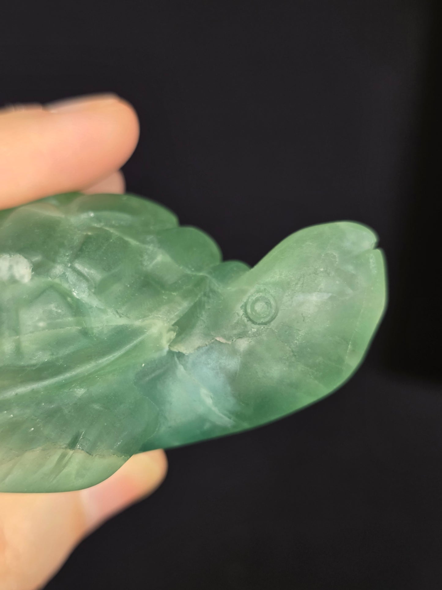 Green Fluorite Turtle Carving