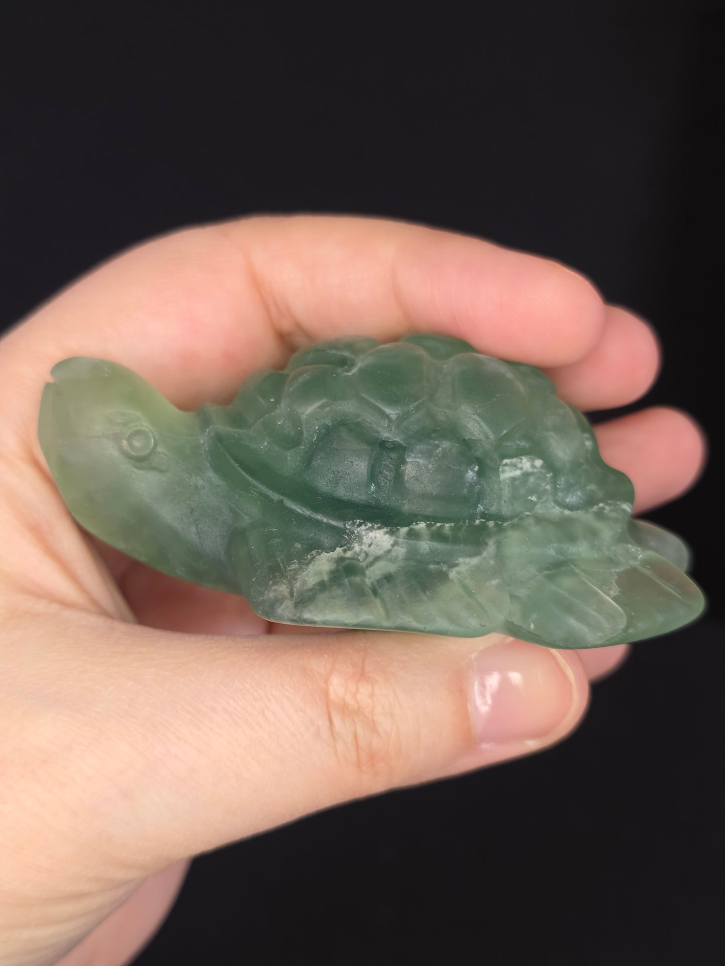 Green Fluorite Turtle Carving