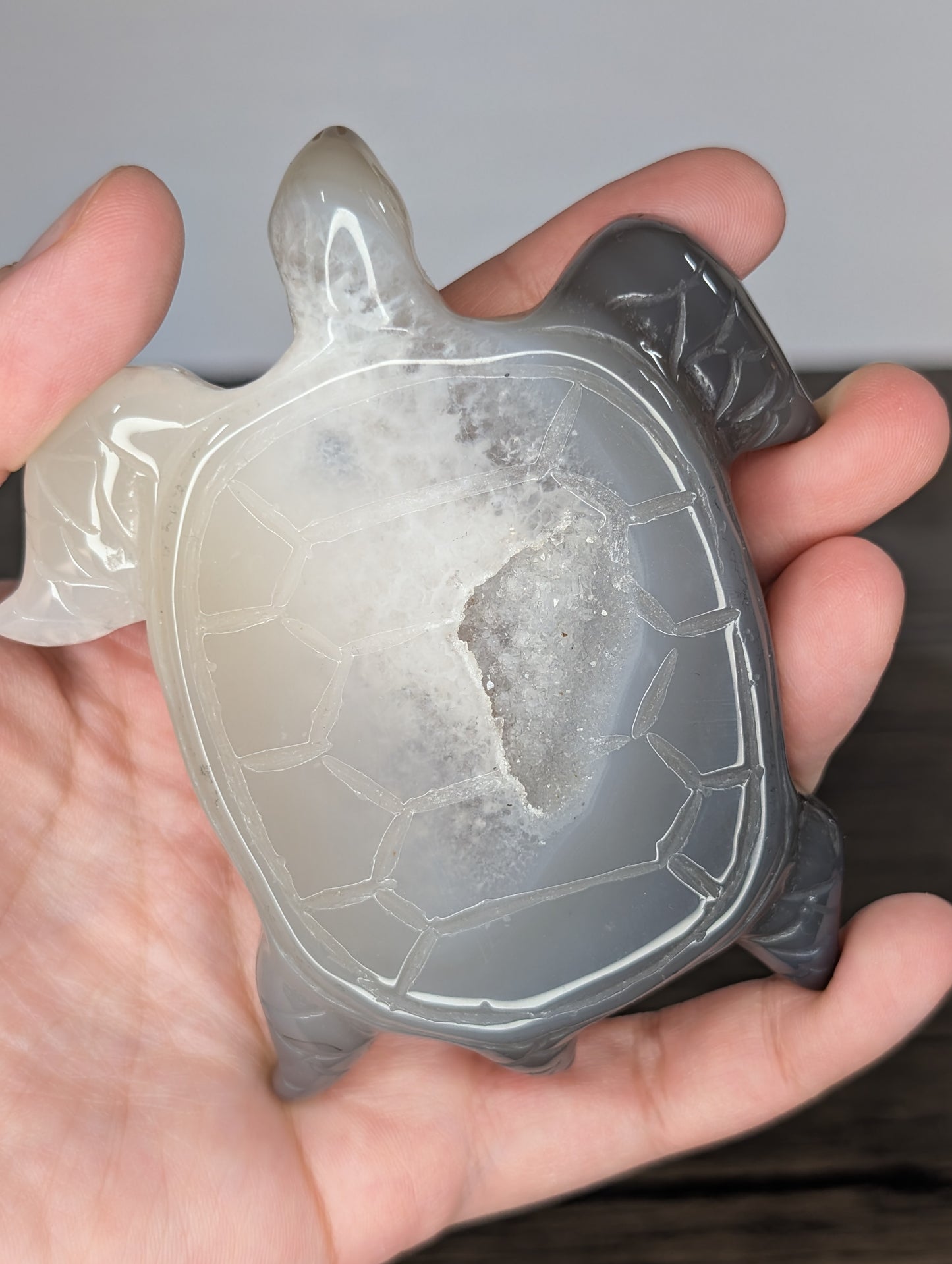 Druzy Agate Turtle Carving (X41)