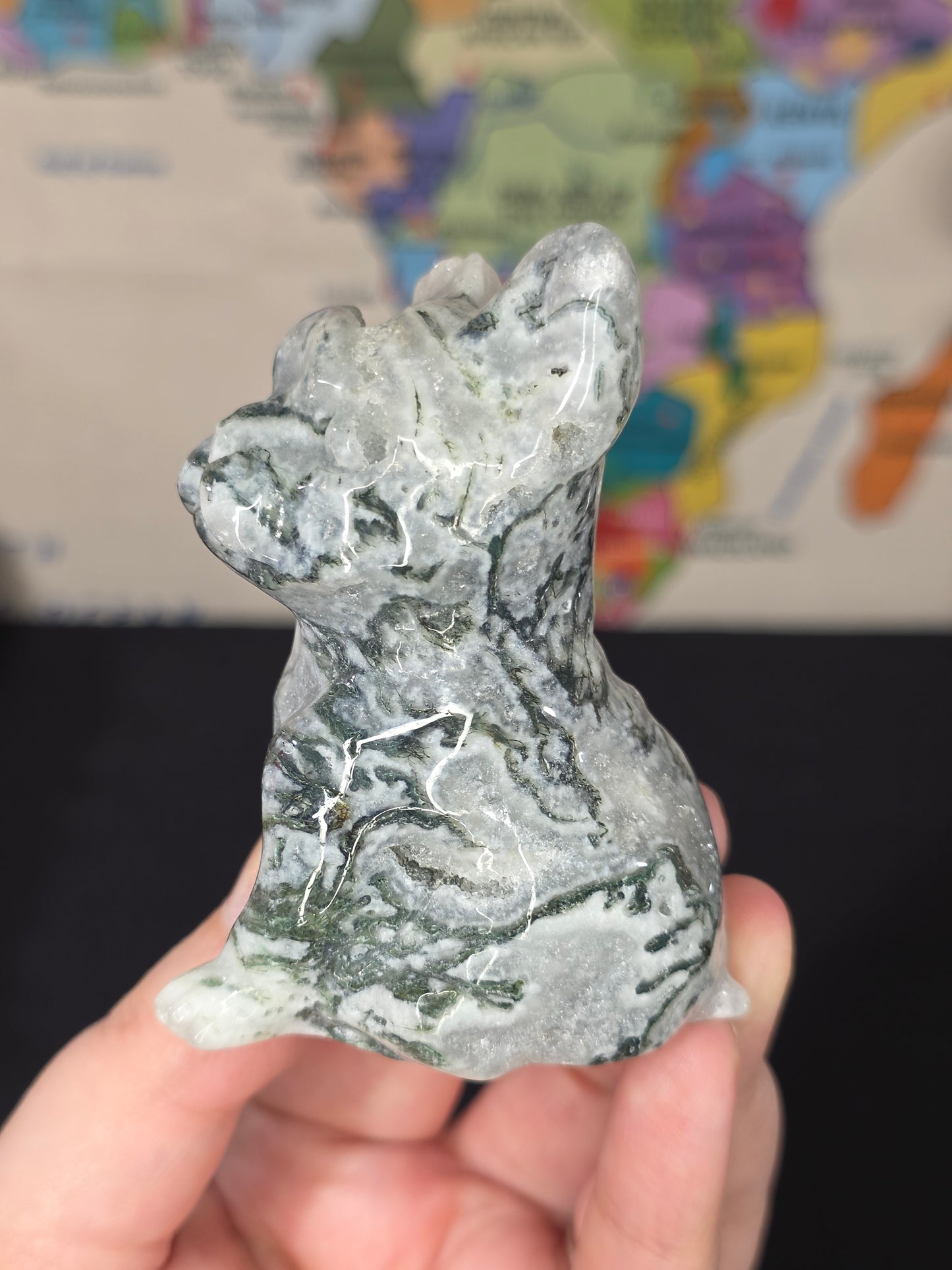 Druzy Moss Agate Frenchie Carving
