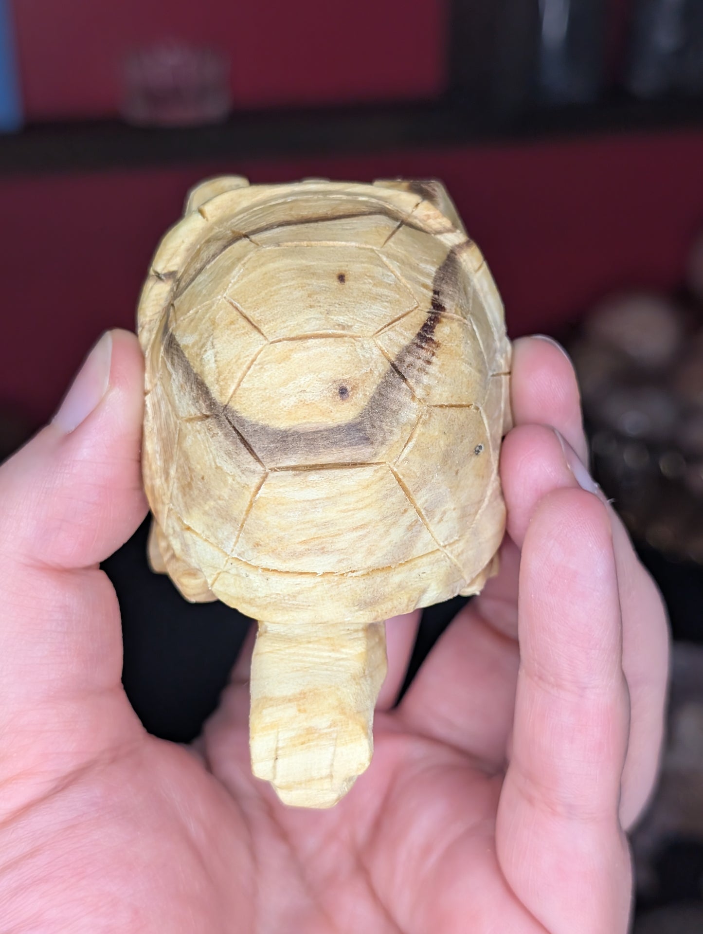 Palo Santo Turtle Carving